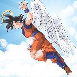 GokuPorSiempree's profile picture. Gracias por dejarme formar parte de tu vida, de tu infancia, de tus recuerdos, tú luchaste conmigo, sin ti yo no sería nada