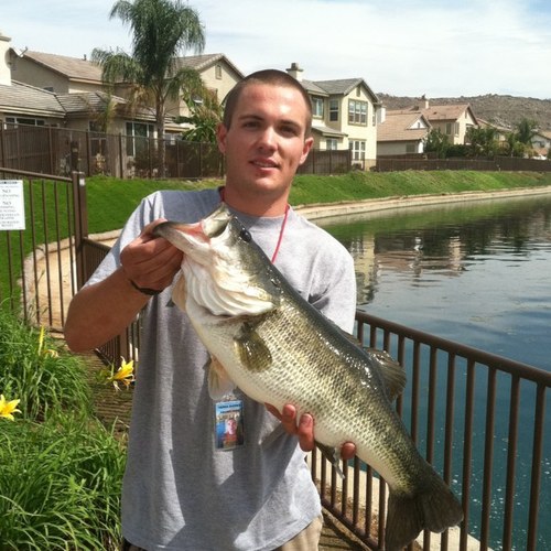 fisherman, bears fan, big family man