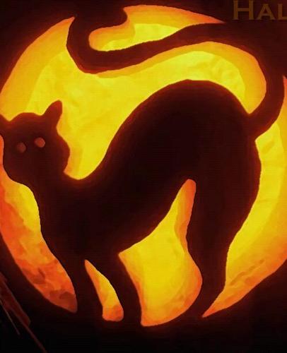 1123Symptomatic's profile picture. 