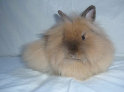 designwithclass's profile picture. 