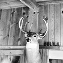 alex niles - @danile8210 - Twitter