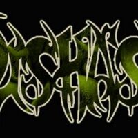 QISHASH Official (@qishashgrind) 's Twitter Profile