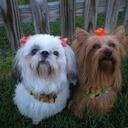 Ron Guy - @RonGuy - Twitter