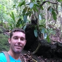 Patrick Howley - @PBHowley - Twitter