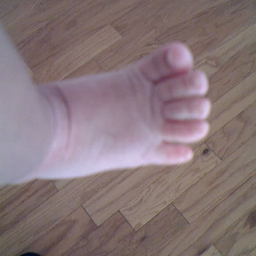 BLAG2's profile picture. Don't judge each day by the harvest you reap, but by the seeds you plant