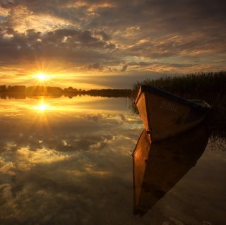 rpaciell's profile picture. 