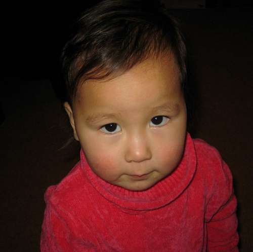 DocILLI's profile picture. 42 y.o. guy,  addicted, Bandit driver, junk-food lover, Nikon-user, iPad-reader, anesthesiologist