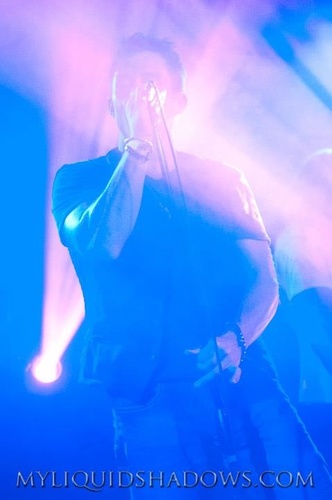 starpupchampion's profile picture. 