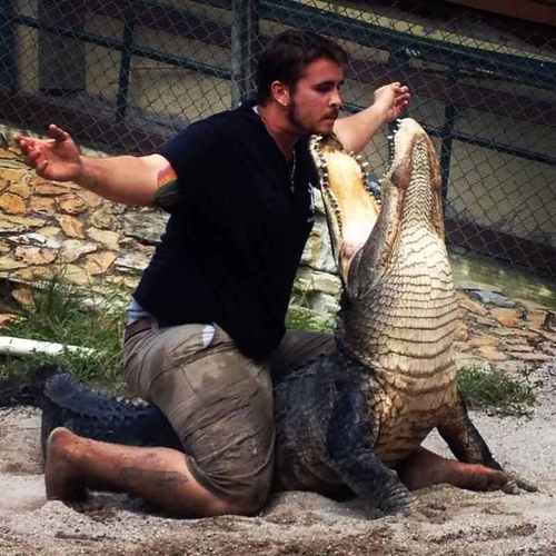 Alligator wrestler/trapper/ and part of the alligator rescue program/and alligator road shows