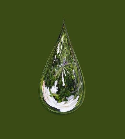 jtW1mz's profile picture. I won't apologize 4 who I am! GODz not thru with m3 y3t. JESUS THOUGHT I WAS 2DIE4