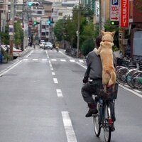 ss_takashi (@takashi58) 's Twitter Profile Photo