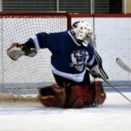 Goalie, Pitcher, Habs Fan, Fantasy Football Fanatic