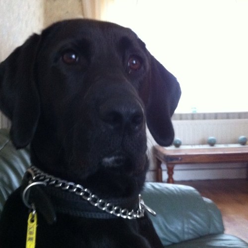 M4TTY_WRIGHT_97's profile picture. http://t.co/UHbQLogEYM subscribe ;) #TeamFollowBack