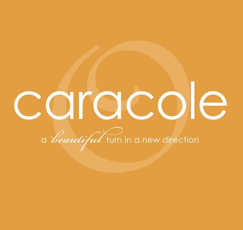 Caracole... furniture that sparkles like jewelry for every room of your home.