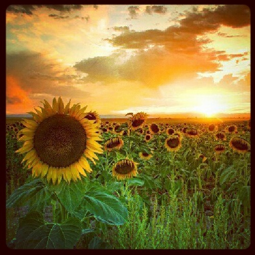 macomaco0510's profile picture. LOVE &ピース