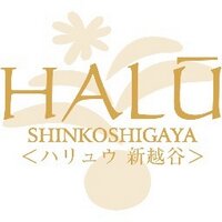 美容鍼灸サロン ハリュウ新越谷 (@info_halu) 's Twitter Profile