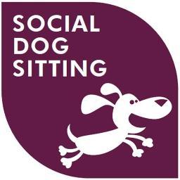 Social Dogsitting - die neue Schweizer Community für Hundehalter, Hundesitter & Hundefans.