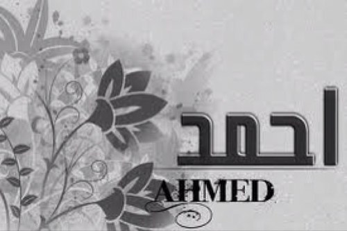 ahmedhu2244's profile picture. 