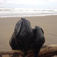 セイワ (@seiwa888) 's Twitter Profile