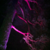 Nonie Horsman ๐ NHS (@noniehorsman) Twitter profile photo Nonie Horsman ๐ NHS (@noniehorsman) Twitter profile photo