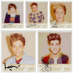 I'm in love with @onedirection. Fell in love with @NiallOfficial's smile. My dream is to meet all of them in person! Follow me if you're a directioner! xx