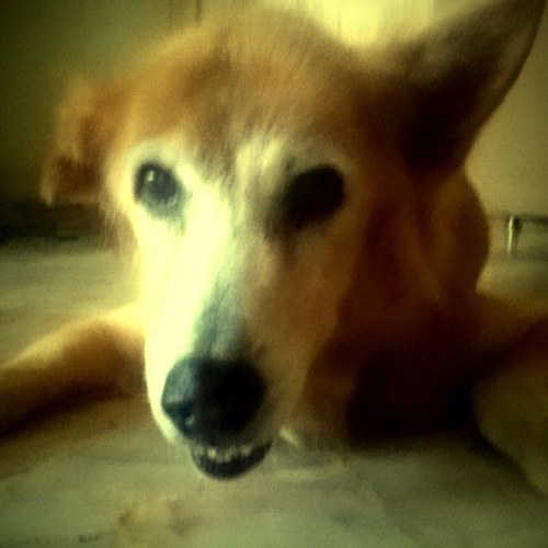 wongeujoe's profile picture. 