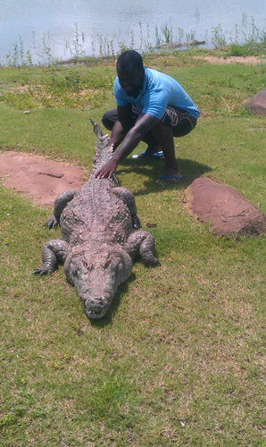 blakpot's profile picture. Living