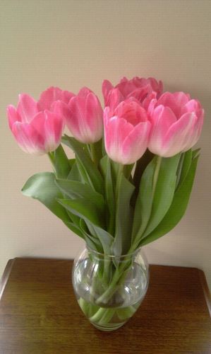 Jaspertjuuhh's profile picture. 