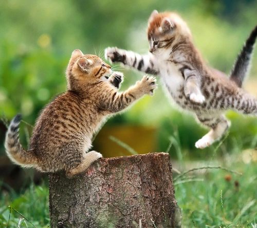 DOExNIETxBLY's profile picture. 