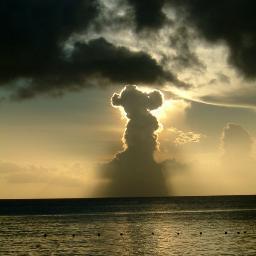 Voodoolsi's profile picture. 