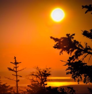 Owner @SpinningStudios. State of Maine Professional Photographer and Fine Arts Creator. follow my blog page link above!