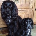 Karen pass - @pass_karen - Twitter