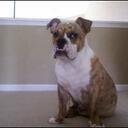 Chris Ashe - @Vizitur77 - Twitter