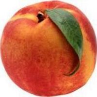 belinda peach (@belindapeach1) 's Twitter Profile
