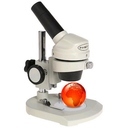 Microscoping the psychological life of nations since just before lunchtime.