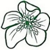 Herts HPS (@hertshps) 's Twitter Profile