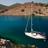 SteelbirdGocek's profile image