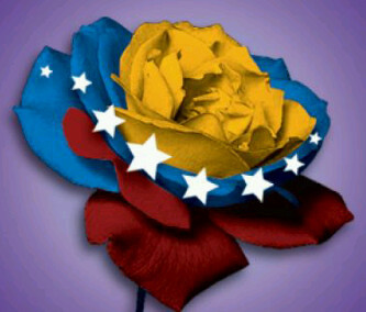 Lcda.En Admin,Especialista en Finanzas,Gerencia estrategica y Reingenieria de procesos Madre y Esposa Venezolana no me voy aqui me quedo luchando por mi pais.