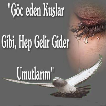 http://t.co/SVC48nkmuv
https://t.co/79YVOVVIOq