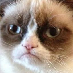 Backbiter2000's profile picture. Life Long Knicks Nut