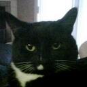 Natalie Hobson - @supernug - Twitter