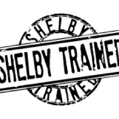 ShelbyTrained's profile picture. We help people move better so they can live stronger — from student-athletes looking to get to the next level to adults who want to improve their daily lives.