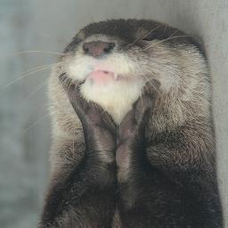Dexter_Otter's profile picture. NB/37/Any pronouns are fine