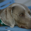 Sue Rouse - @Susan_Baylis - Twitter