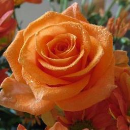 I never take right decision but take decision and make it to right...that's called attitude,,,...