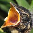 Debra Cade - @dcade2 - Twitter