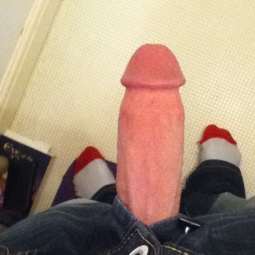 dm me for any type of picture of my dick sent to you ? every girl is beautiful love you all