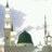 hafiz_alzahraa's profile image