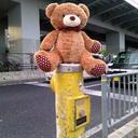 Asami Suzuki - @Asami_S_S - Twitter