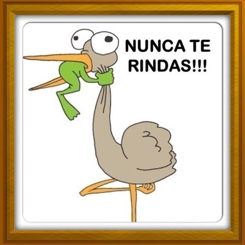 La verdad que no me puedo quejar... Guatemala